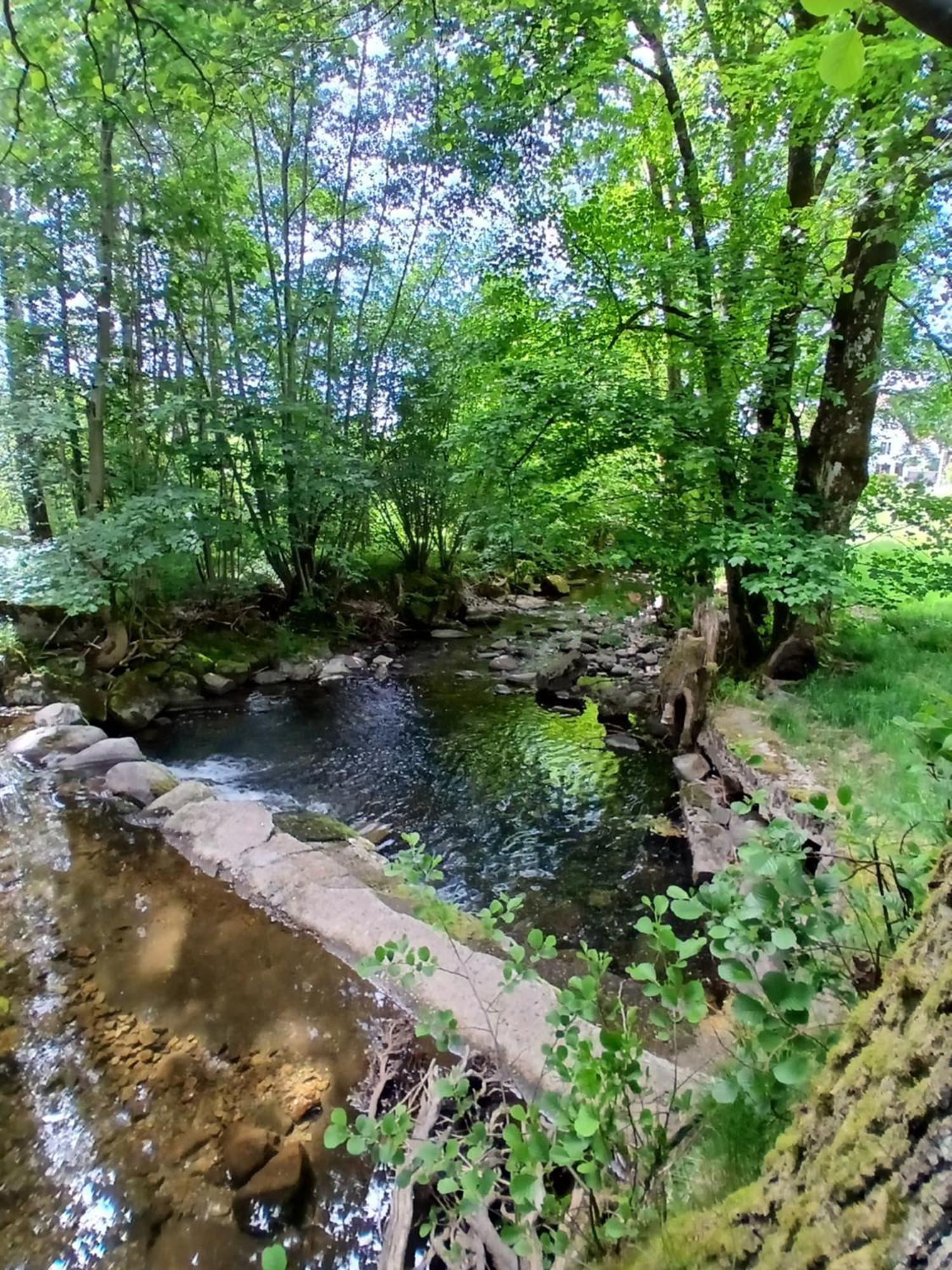Gite De L'Ours Saint-Maurice-sur-Moselle Eksteriør billede