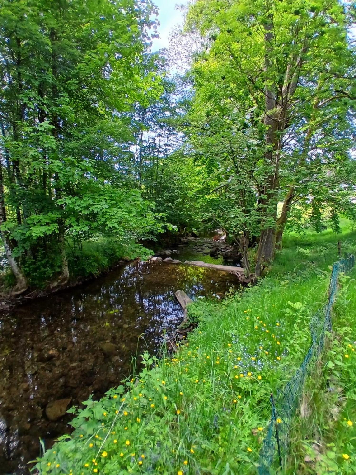 Gite De L'Ours Saint-Maurice-sur-Moselle Eksteriør billede